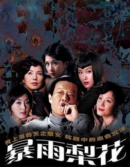 暴雨梨花粤语版