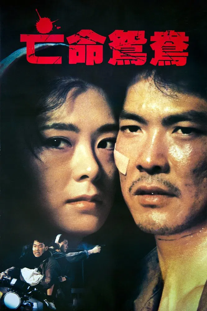 亡命鸳鸯粤语版