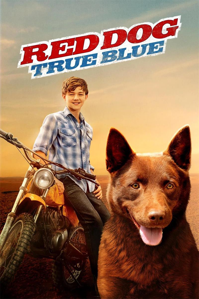 红犬背包客2：蓝犬 红犬历险记2：蓝犬 Red Dog: True Blue 粤语版