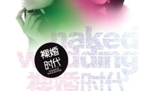 电视剧裸婚时代粤语配音版全30集 裸婚时代粤语版