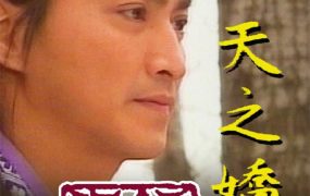 电视剧保镖之天之娇女粤语配音版全20集 保镖三部曲之天之娇女粤语版