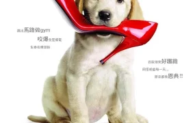 粤语配音电影马利与我 马利和我 马利&我 Marley & Me