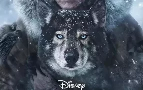 粤语配音电影多哥 Togo