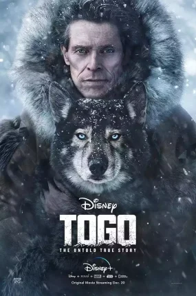 粤语配音电影多哥 Togo