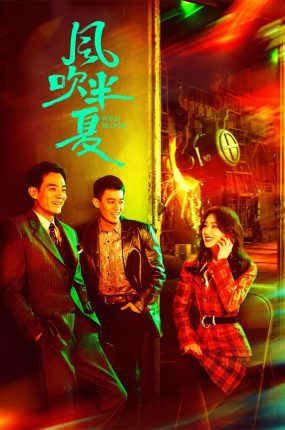 电视剧风吹半夏粤语配音版全36集 风吹半夏粤语版