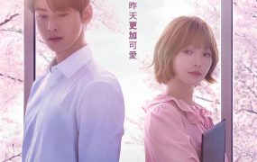 韩剧今天也很可爱的狗粤语配音版全18集 犬系恋人粤语版