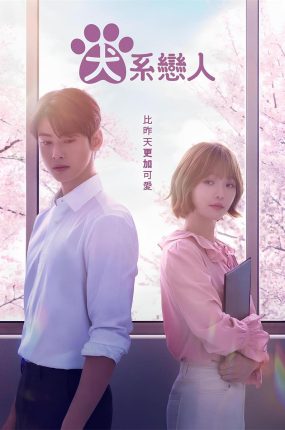 韩剧今天也很可爱的狗粤语配音版全18集 犬系恋人粤语版