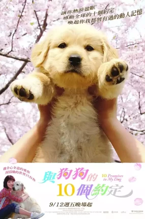 粤语配音电影狗狗与我的十个约定 我和狗狗的10个约定 与狗狗的10个约定 我和寻回犬的十个约定 犬と私の10の約束