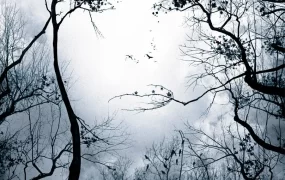 粤语配音电影亡命感应 前兆 死亡预感 Premonition