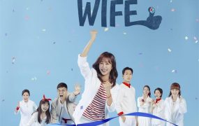 韩剧国家代表老婆粤语配音版全75集 全能老婆粤语版