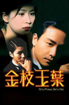 香港电影金枝玉叶 金枝玉叶粤语版