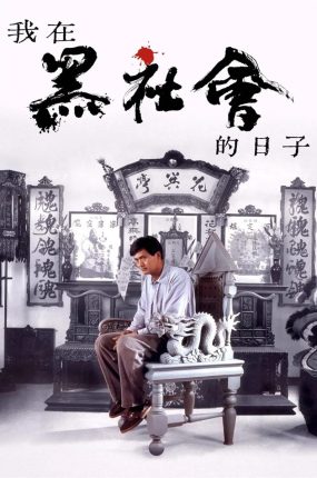 香港电影我在黑社会的日子 我在黑社会的日子粤语版