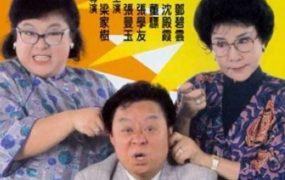 香港电影南北妈打 南北妈打粤语版