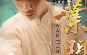 电视剧叶问粤语配音版全50集 叶问粤语版