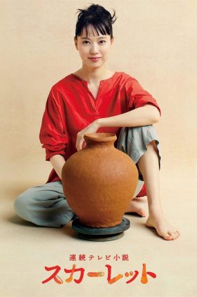 日剧绯红粤语配音版全105集 信乐的喜美子粤语版