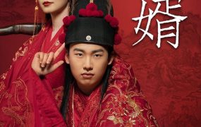 电视剧赘婿粤语配音版全33集 赘婿粤语版