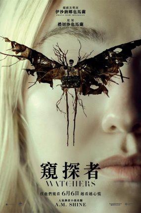 粤语配音电影窥探者 神秘窥视 窥视者 The Watchers
