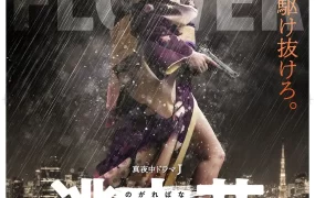 日剧逃亡花粤语配音版全12集 逃亡花粤语版