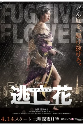 日剧逃亡花粤语配音版全12集 逃亡花粤语版