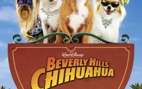 粤语配音电影走佬芝娃娃 比佛利拜金狗 富贵吉娃娃 Beverly Hills Chihuahua