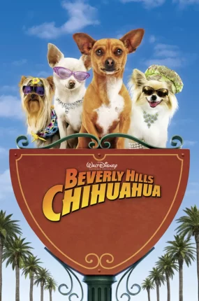 粤语配音电影走佬芝娃娃 比佛利拜金狗 富贵吉娃娃 Beverly Hills Chihuahua