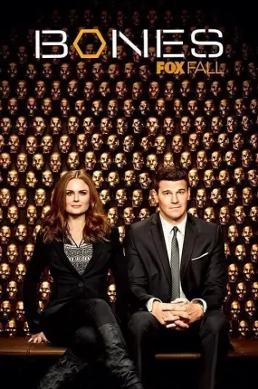 美剧欲骨查9粤语配音版全24集 识骨寻踪第九季粤语版