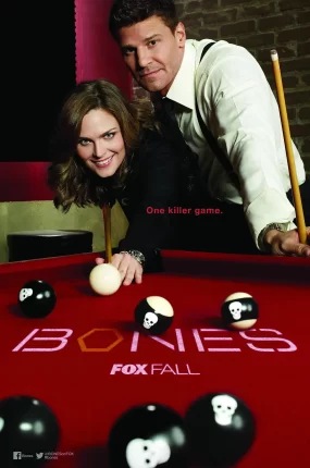 美剧欲骨查10粤语配音版全22集 识骨寻踪第十季粤语版