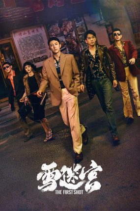 电视剧雪迷宫粤语配音版全32集 雪迷宫粤语版