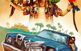 粤语配音电影神探飞机头 王牌威龙 宠物侦探 Ace Ventura: Pet Detective