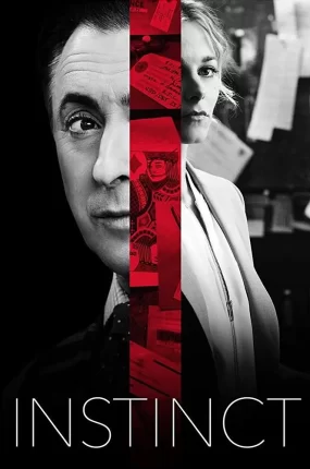 美剧本能粤语配音版全13集 直觉追凶粤语版