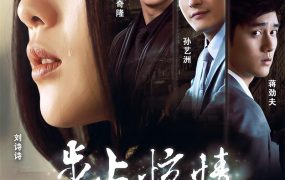 电视剧步步惊情粤语配音版全39集 步步惊情粤语版