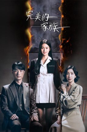 韩剧完美家庭粤语配音版全16集 完美的家族粤语版