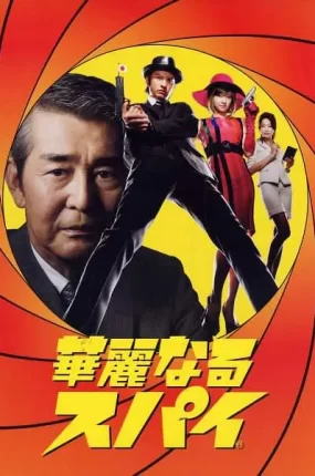 日剧华丽的间谍粤语配音版全10集 华丽间谍一族粤语版