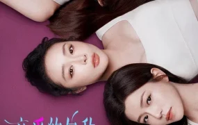 电视剧亲爱的仇敌粤语配音版全24集 亲爱的仇敌粤语版