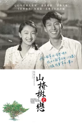 粤语配音电影山楂树之恋 山楂树 Under the Hawthorn Tree