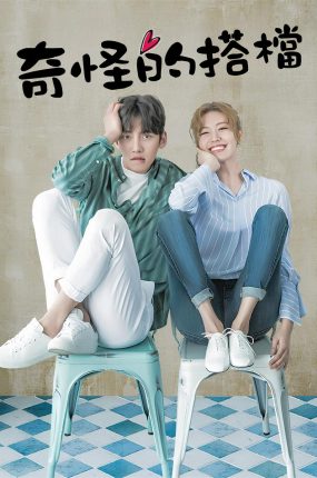韩剧奇怪的搭档粤语配音版全26集 奇怪的拍档粤语版