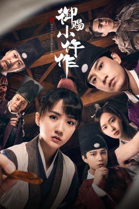 电视剧御赐小仵作粤语配音版全20集 机智女法医粤语版