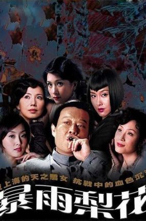 电视剧暴雨梨花粤语配音版全40集 暴雨梨花粤语版