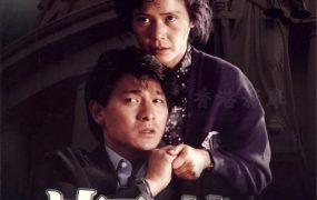 香港电影法内情大结局 法内情大结局粤语版