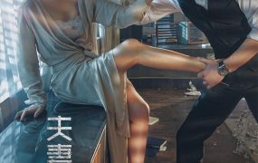 韩剧夫妻的世界粤语配音版全30集 夫妻的世界粤语版