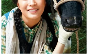 日剧夏空粤语配音版全112集 夏空粤语版